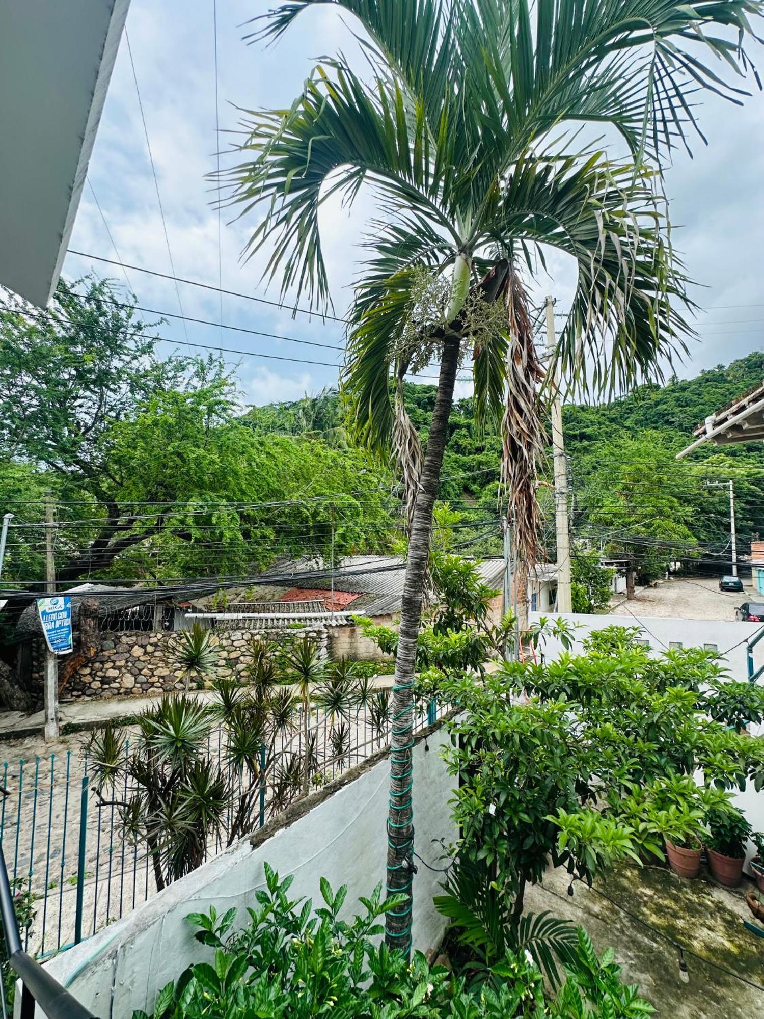 Loft Rio Apartman Puerto Vallarta Kültér fotó