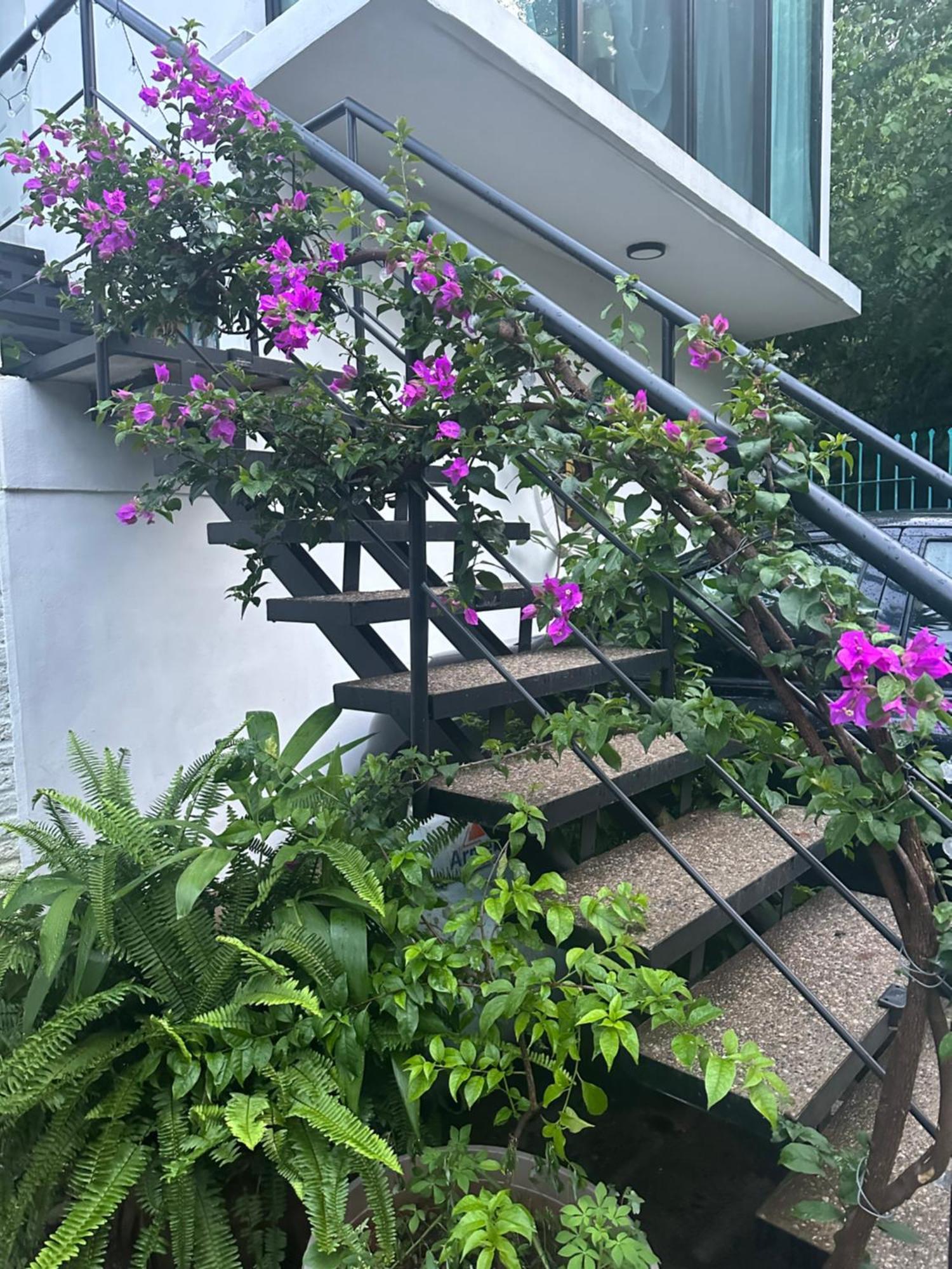 Loft Rio Apartman Puerto Vallarta Kültér fotó